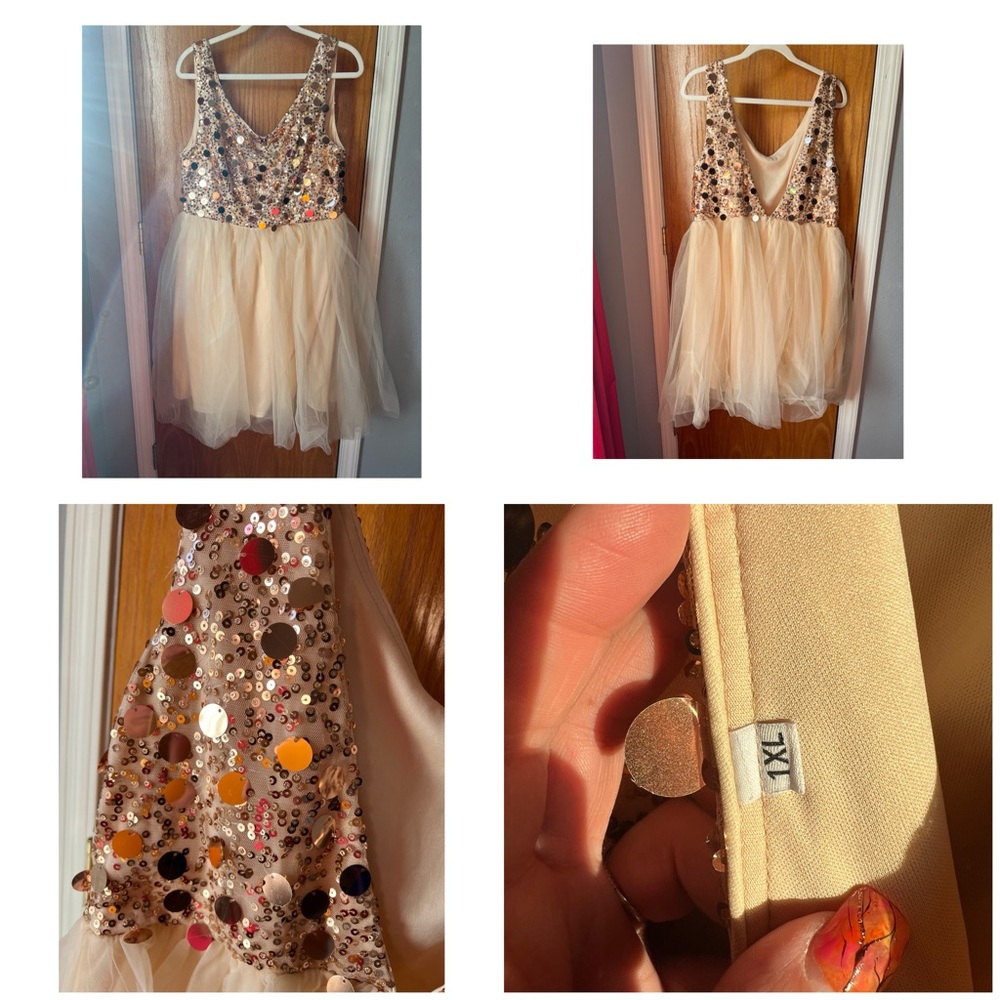 Size XL Sequin Dress